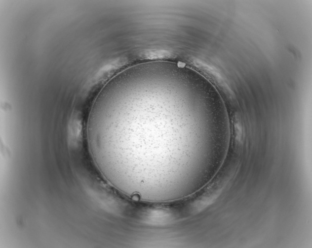 X0000091100308200708131111