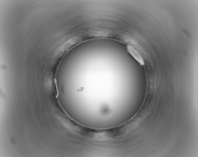 X0000091100309200708131111