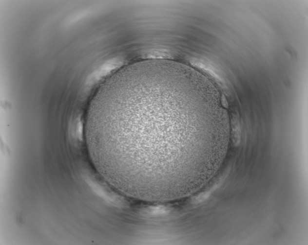 X0000091100310200708131111