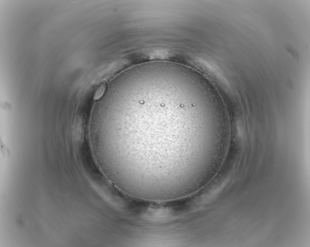 X0000091100311200708131111