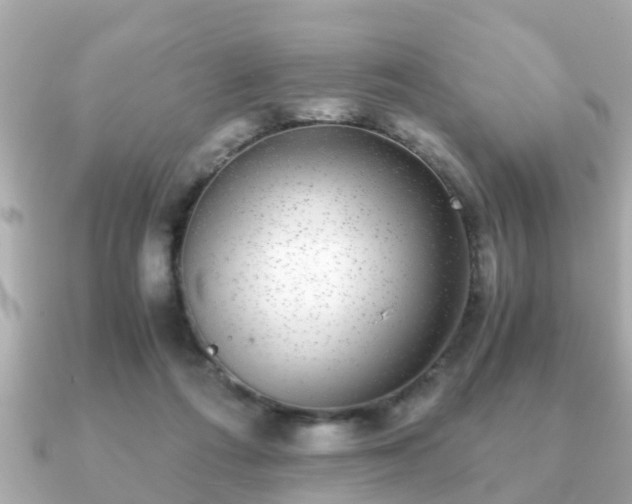 X0000091100312200708131111