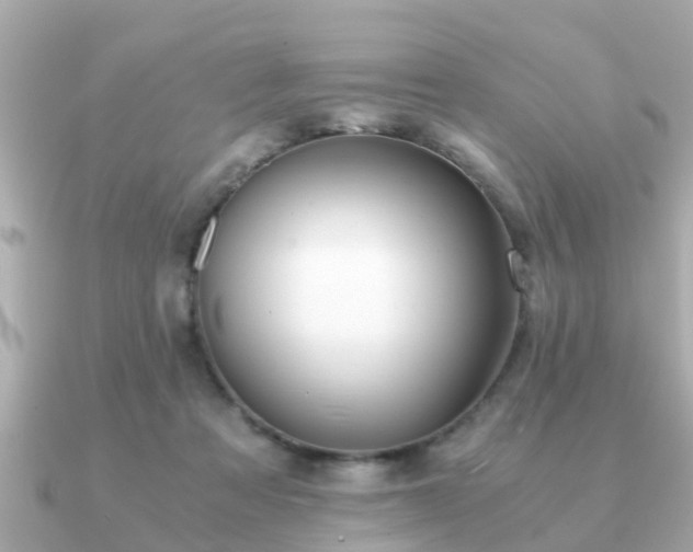 X0000091100313200708131111