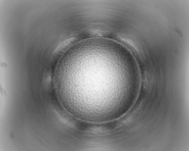 X0000091100314200708131111