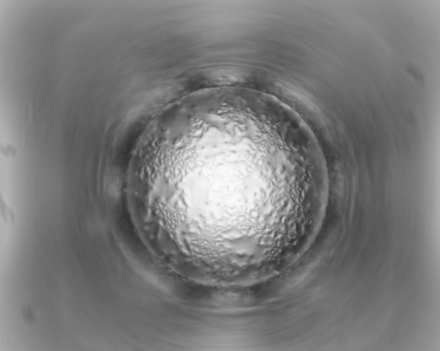 X0000091100315200708131111