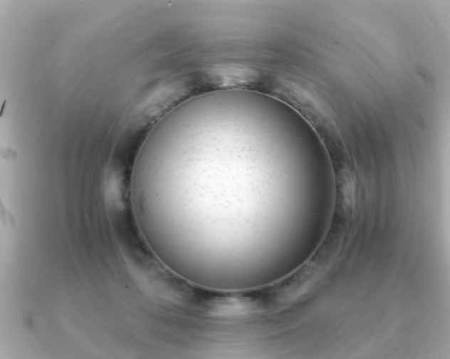 X0000091100316200708131111