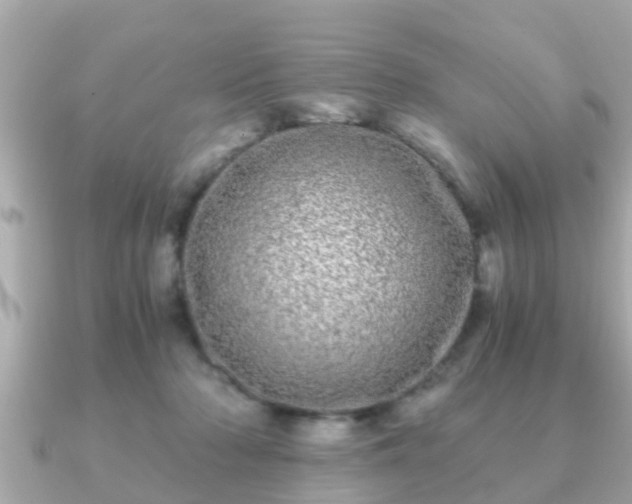 X0000091100318200708131111