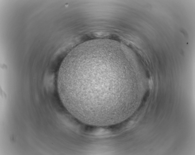 X0000091100319200708131111