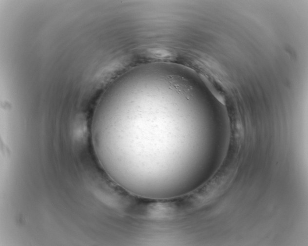 X0000091100320200708131111