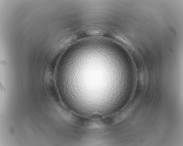 X0000091100322200708131111