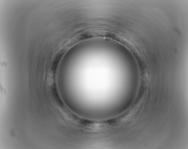 X0000091100323200708131111