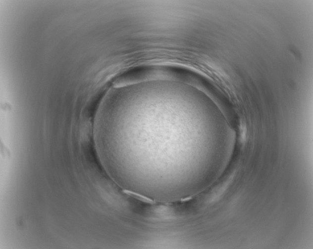 X0000091100325200708131111