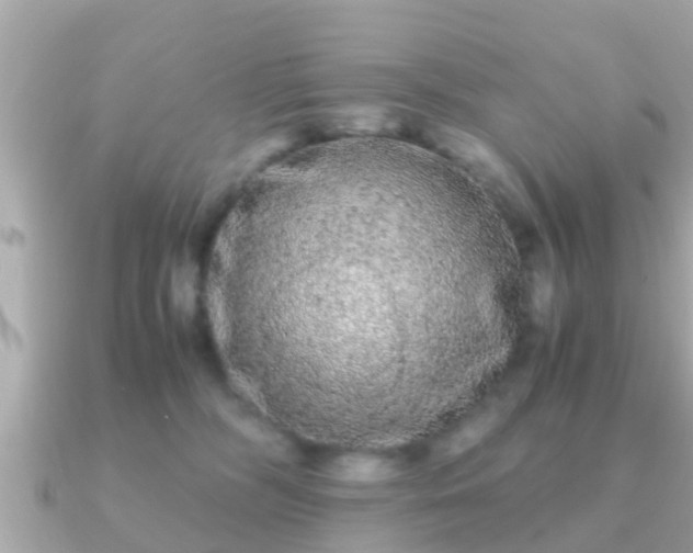 X0000091100326200708131111