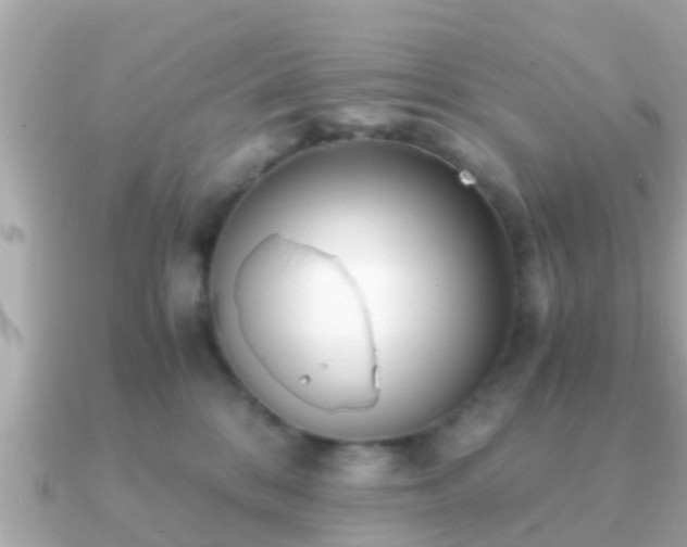 X0000091100328200708131111