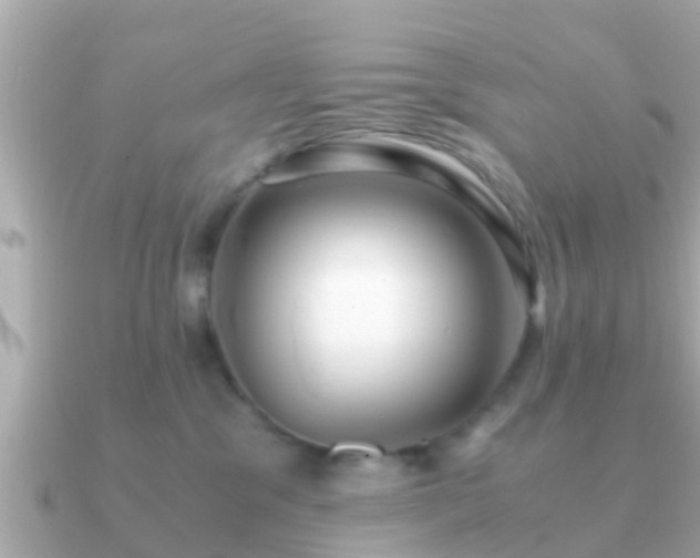 X0000091100329200708131111