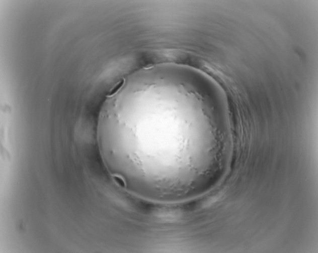 X0000091100331200708131111