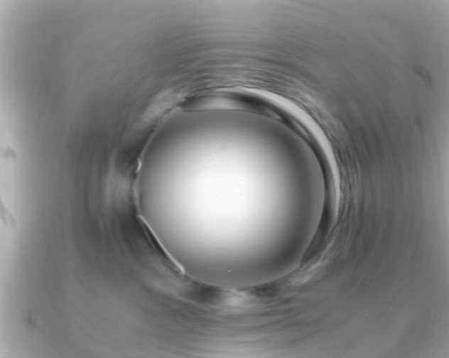 X0000091100333200708131111