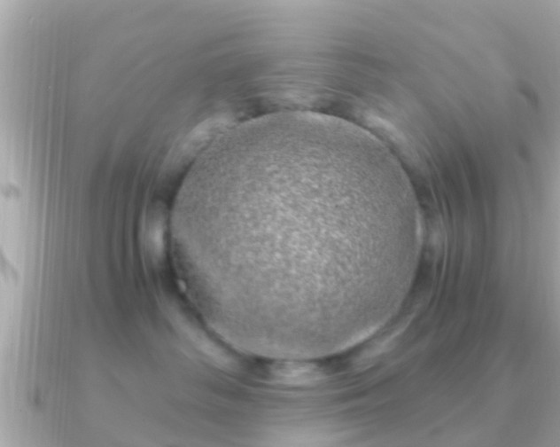 X0000091100334200708131111