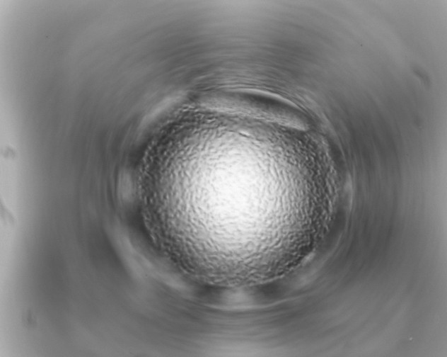 X0000091100335200708131111