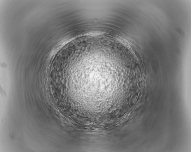 X0000091100337200708131110