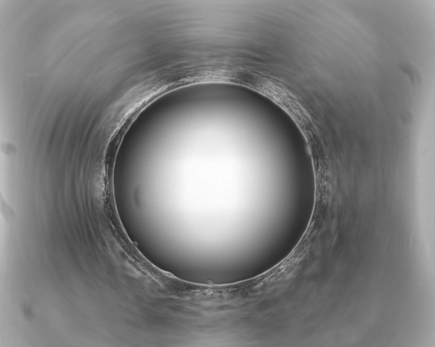 X0000091100338200708131110