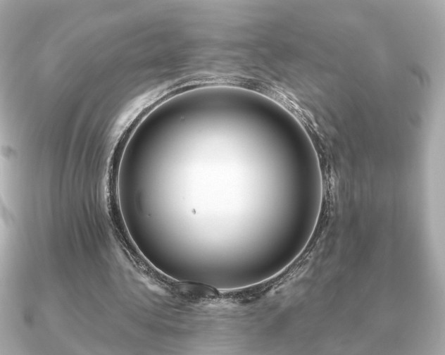 X0000091100340200708131110