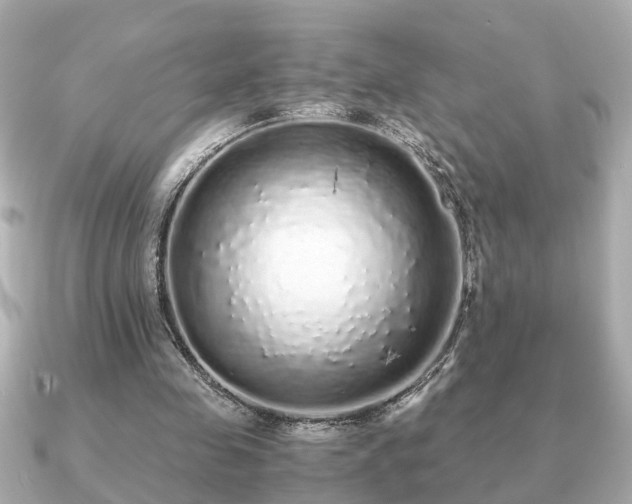 X0000091100341200708131110