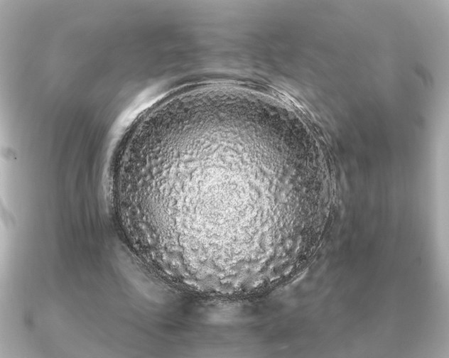 X0000091100343200708131110