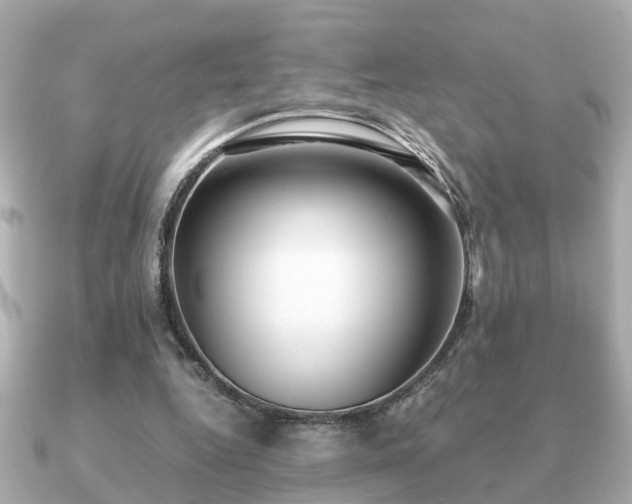 X0000091100344200708131110