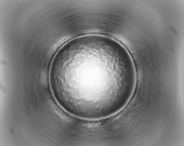 X0000091100345200708131110