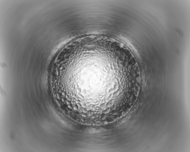 X0000091100346200708131110