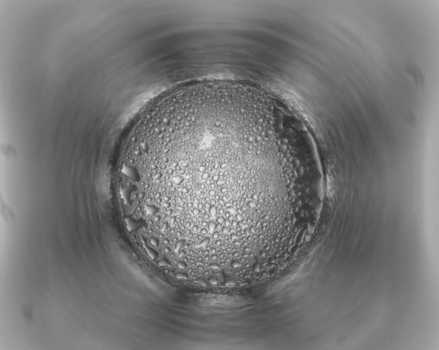 X0000091100347200708131110