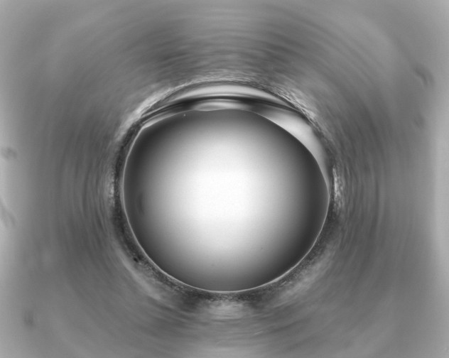 X0000091100348200708131110