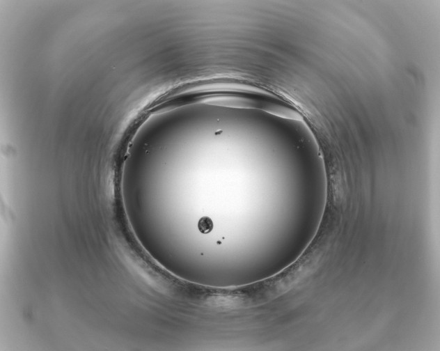 X0000091100350200708131110