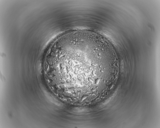 X0000091100351200708131110