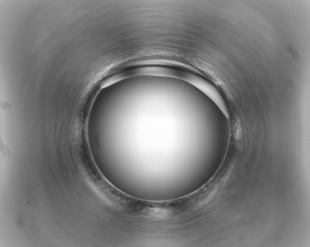 X0000091100352200708131110