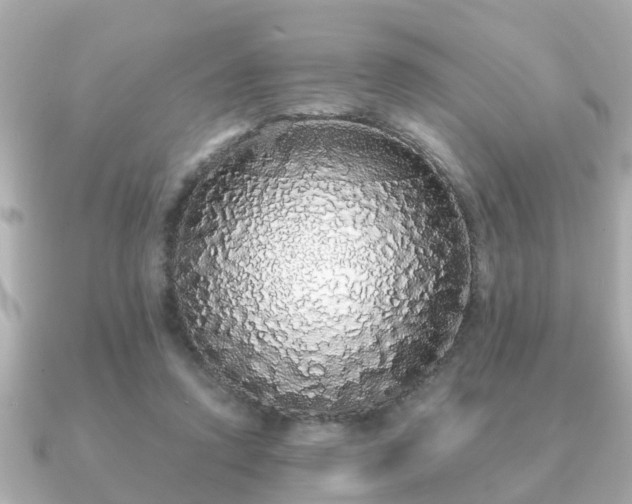 X0000091100354200708131110