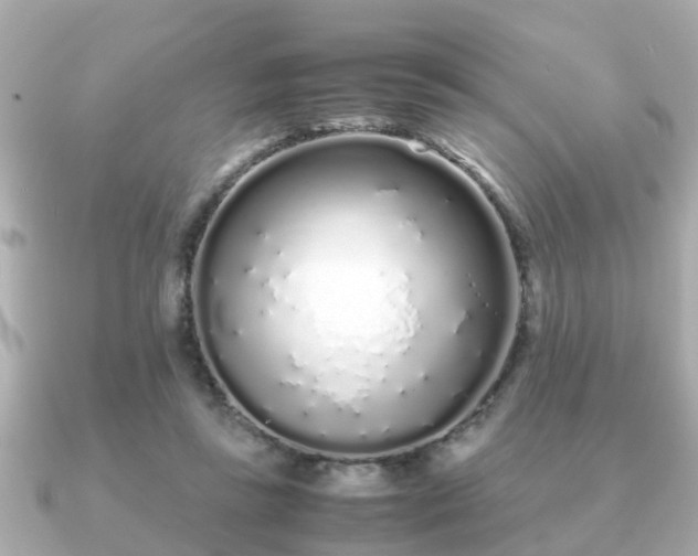 X0000091100355200708131110