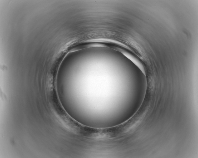 X0000091100356200708131110