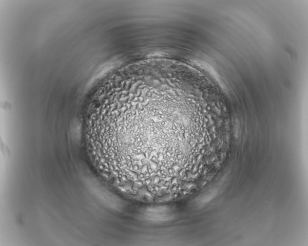 X0000091100357200708131110