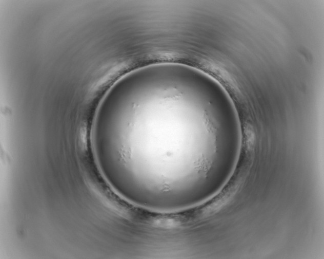 X0000091100358200708131110