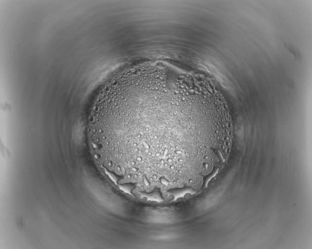 X0000091100359200708131110