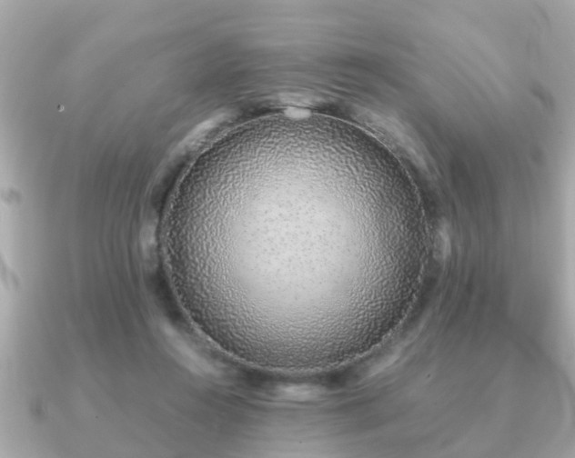 X0000091100360200708131110