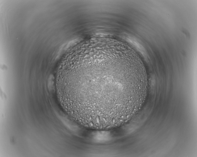 X0000091100361200708131110