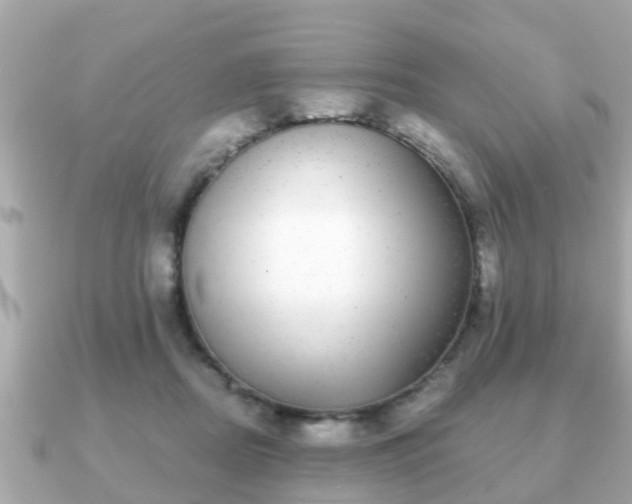 X0000091100362200708131110