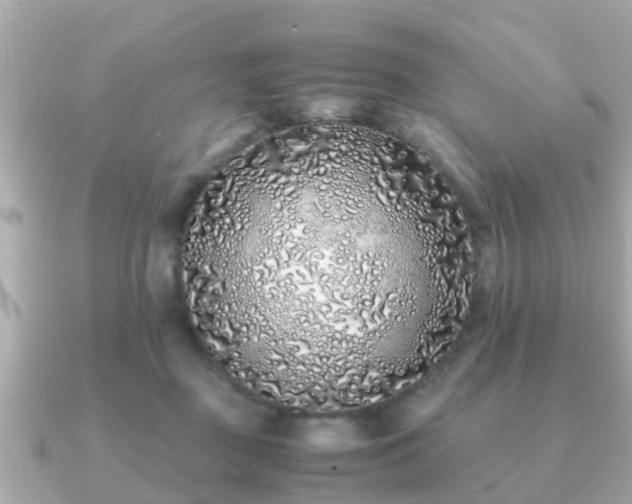 X0000091100363200708131110