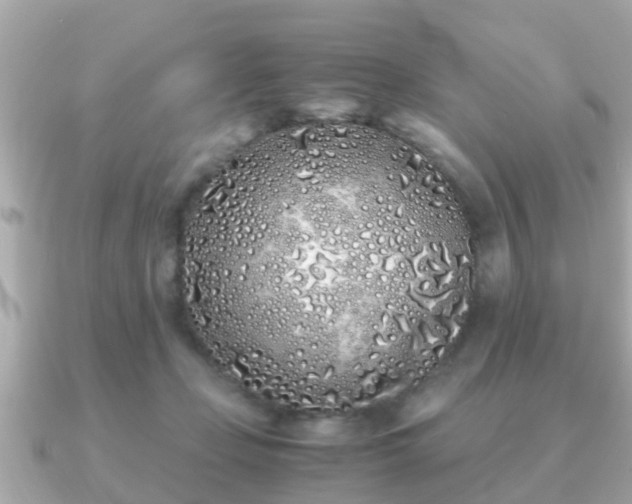 X0000091100365200708131110