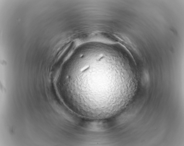 X0000091100366200708131110