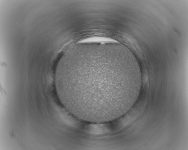 X0000091100367200708131110