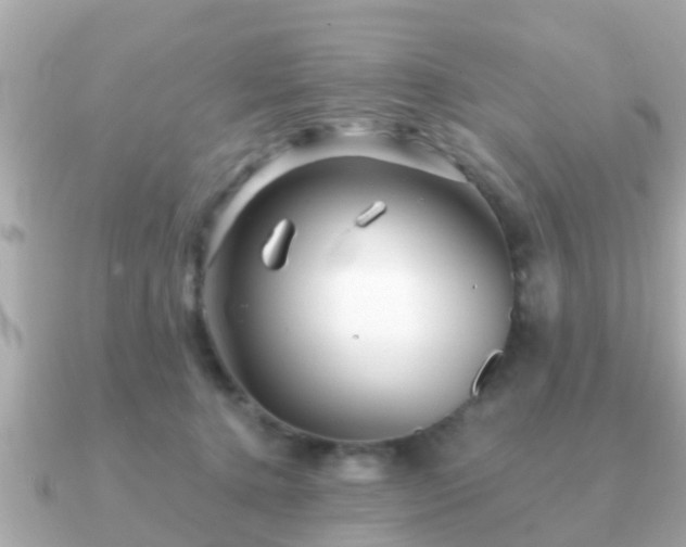 X0000091100368200708131110