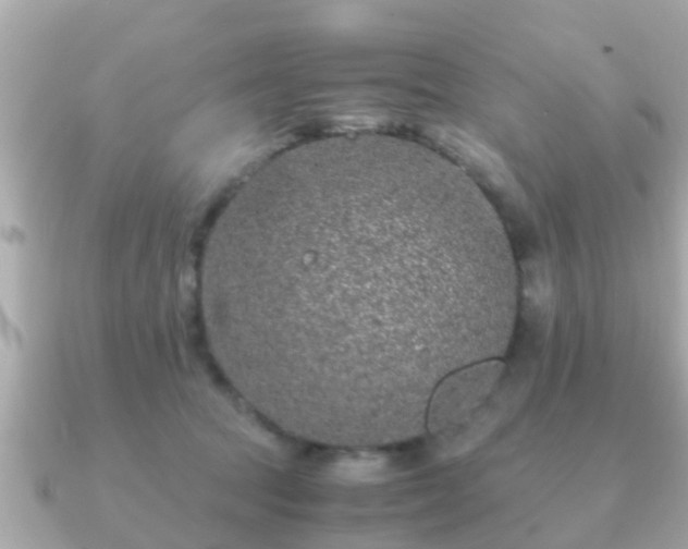 X0000091100369200708131110